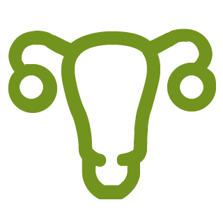 Hormonski vplivialiHormoni in bioritem